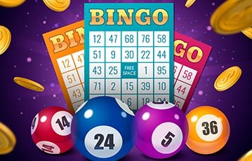 Bingo Bingo