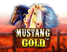 Mustang Gold