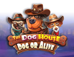 The Dog House – Dog or Alive