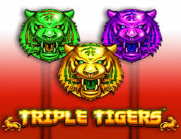 Triple Tigers