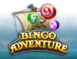 Bingo Adventure
