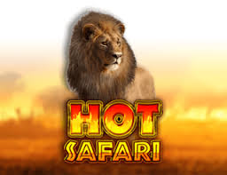 Hot Safari