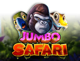 Jumbo Safari